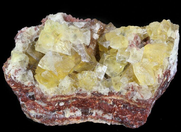 Lustrous, Yellow Cubic Fluorite Crystals - Morocco #44890